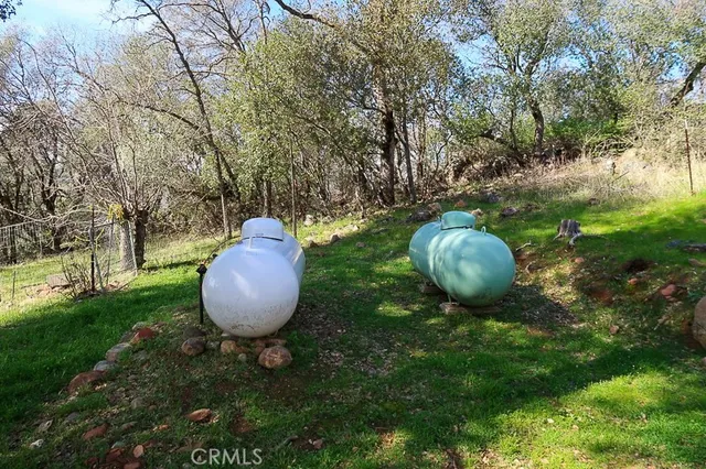 a view of a backyard with table and chairs and a large tree