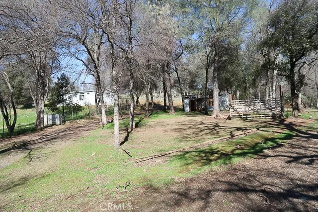a view of yard with trees