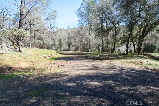 a view of dirt yard with a large tree