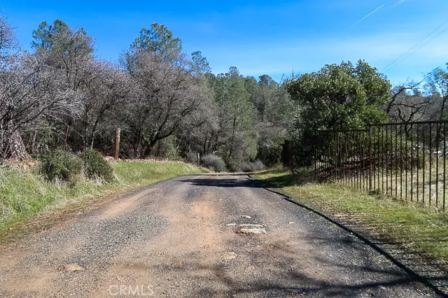 a view of a park with large trees