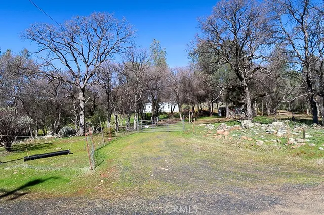 a view of a road with trees