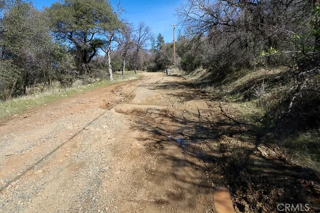 a view of a yard with a tree