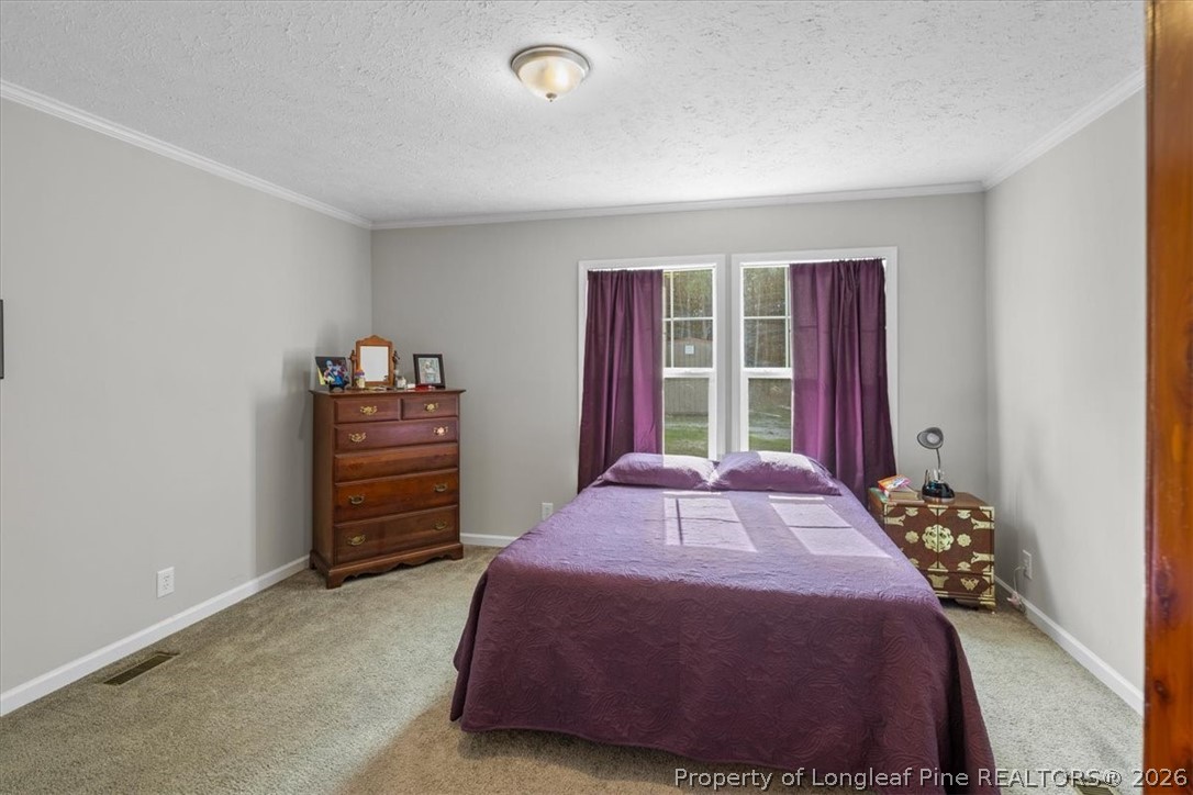 626 Ballance Farm Road St. Pauls, NC 28384 - Photo 8 of 27 Primary bedroom