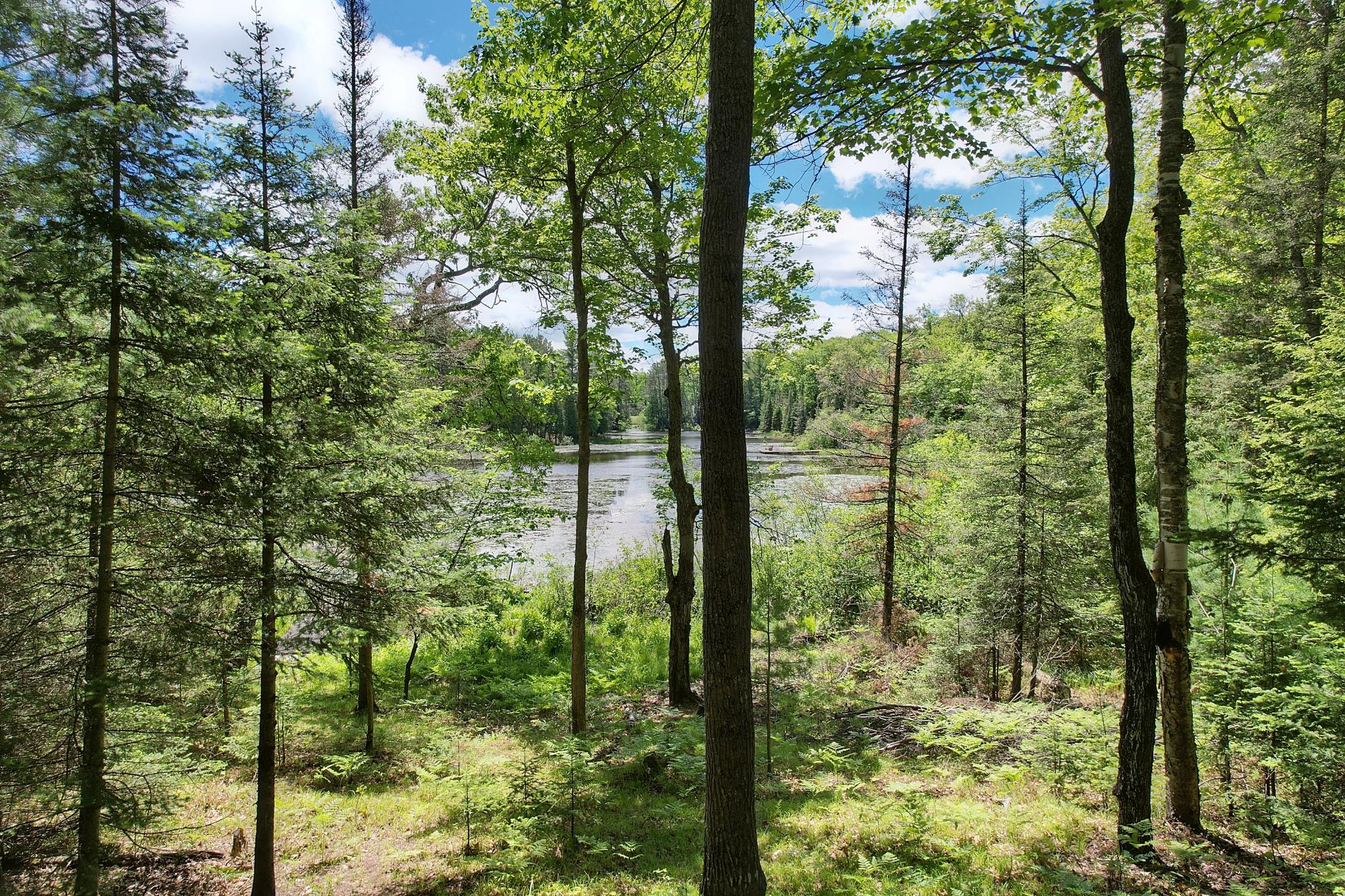 6504 Landing Lake Road Land O'Lakes, WI 54540 - Photo 22 of 35 Gallery Image 22