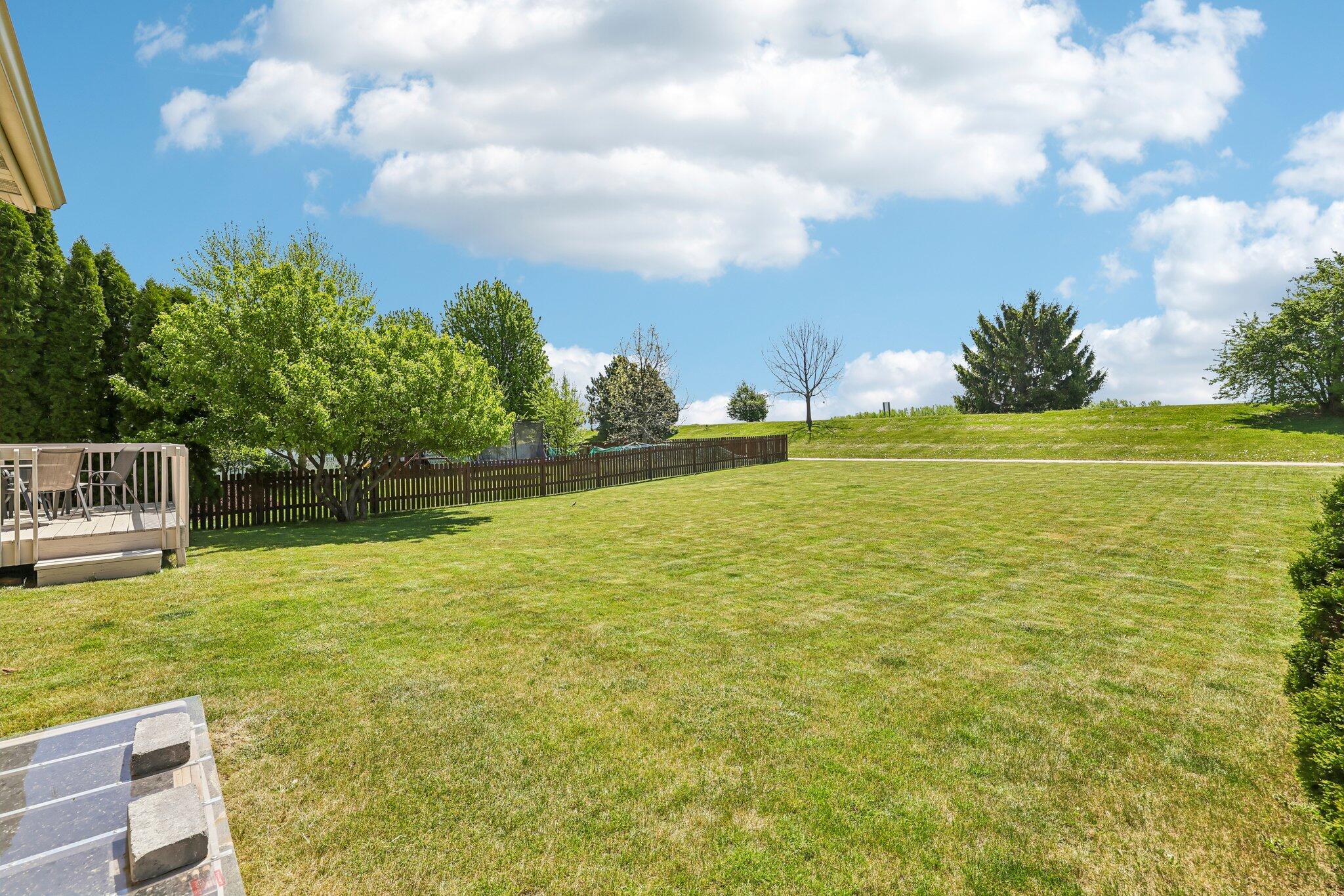 3289 Pleasant Street Sun Prairie, WI 53590 - Photo 30 of 34 Backyard 5