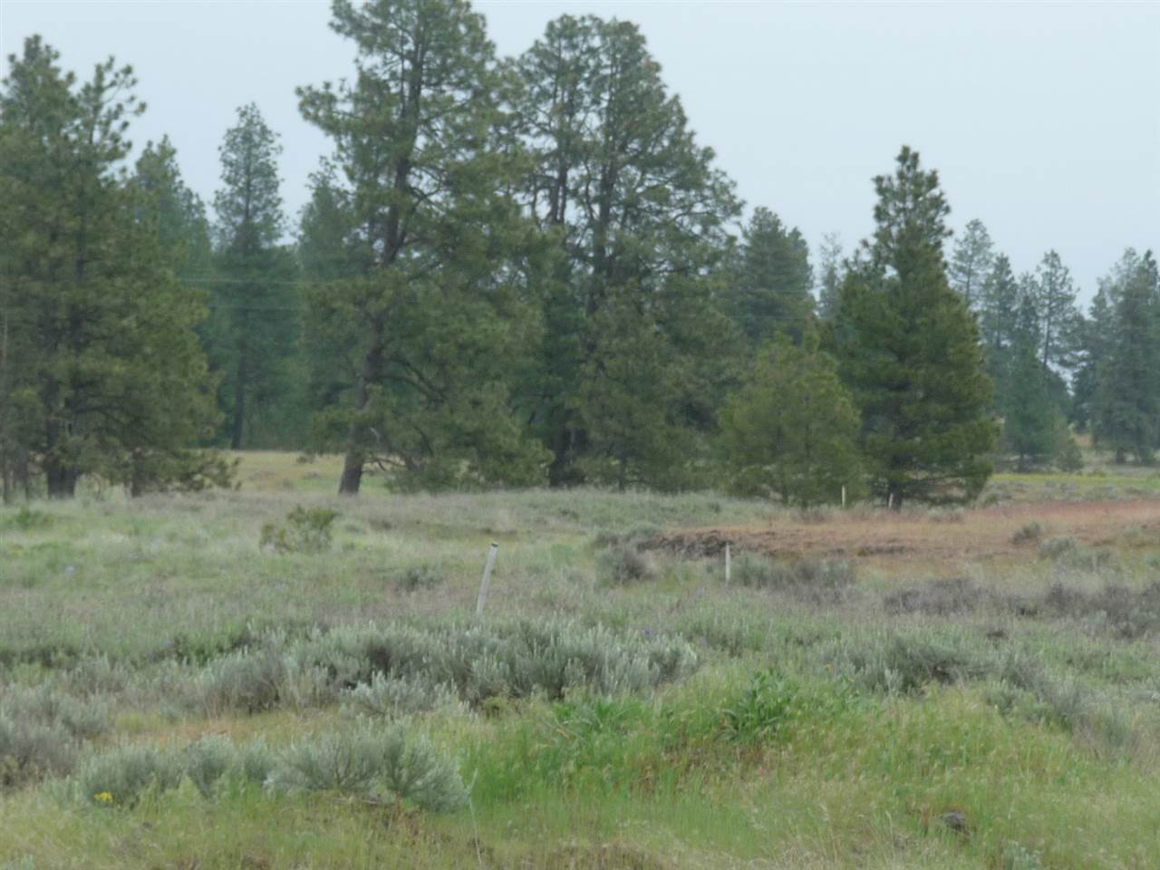 0 South Rock Lake Road Cheney, WA 99004 - Photo 1 of 8