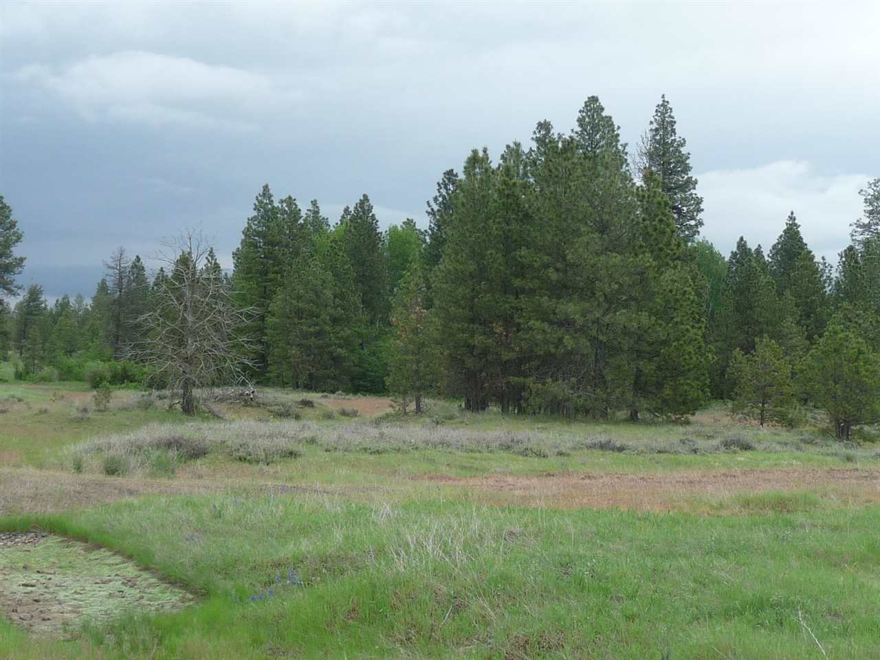 0 South Rock Lake Road Cheney, WA 99004 - Photo 4 of 8