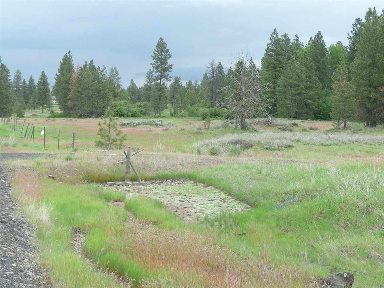 0 South Rock Lake Road Cheney, WA 99004 - Photo 5 of 8