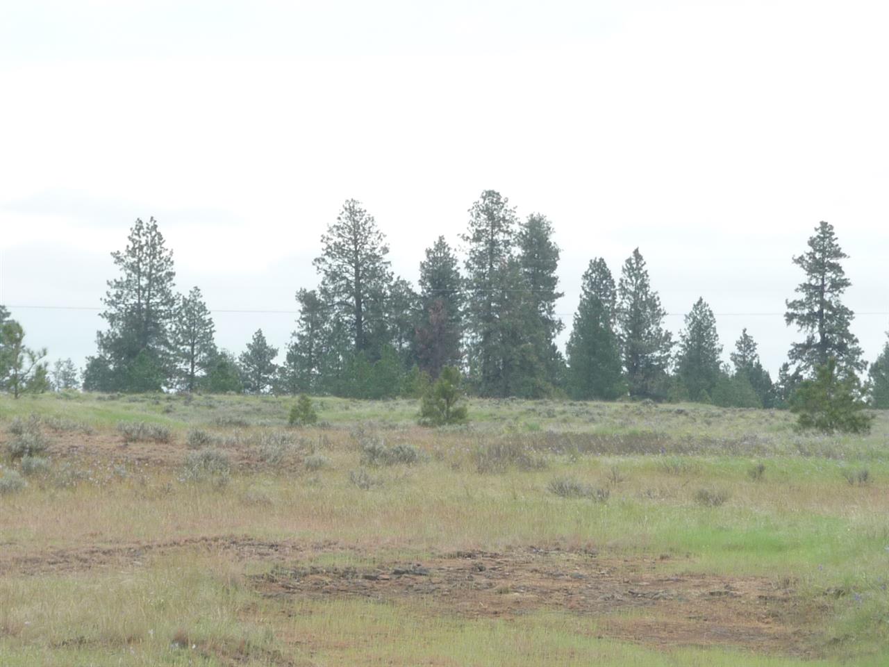 0 South Rock Lake Road Cheney, WA 99004 - Photo 7 of 8