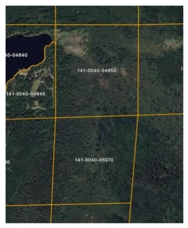 $81,500 | Xxx South Town Line Road, Hibbing, MN 55746