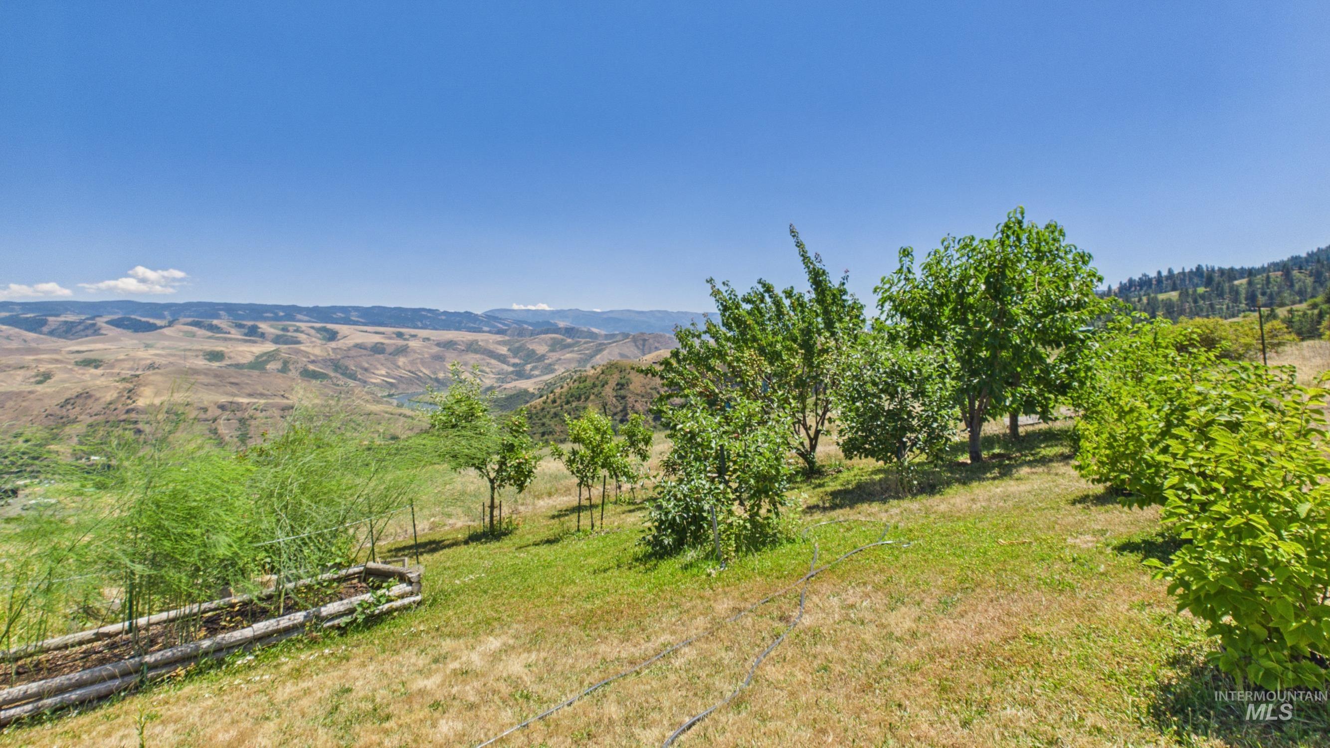 146 Hammer Crk Road White Bird, ID 83554 - Photo 41 of 50