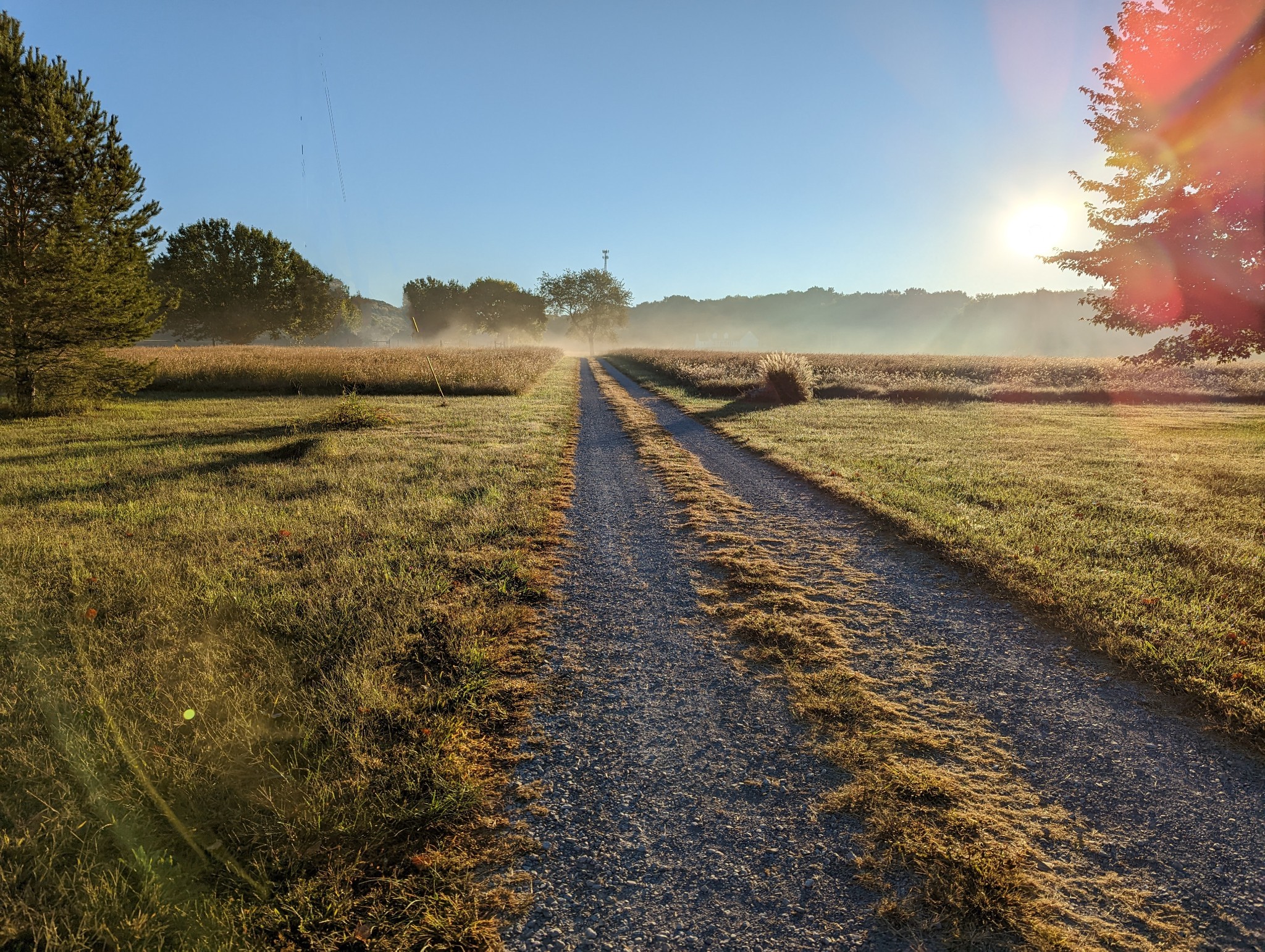 14620 Cainsville Road Lebanon, TN 37090 - Photo 3 of 72
