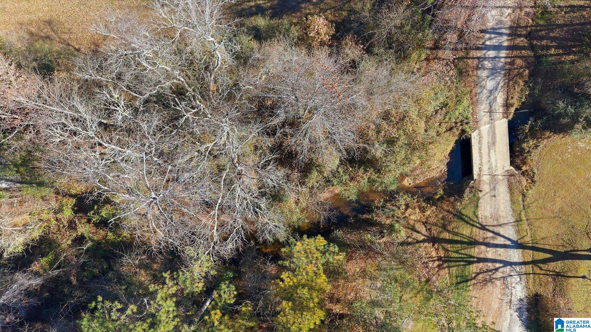 0 County Road 84 Heflin, AL 36264 - Photo 7 of 20