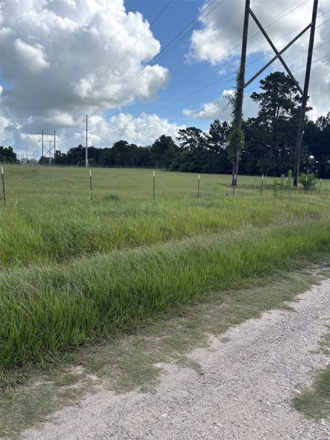 148 A Rogers Road New Waverly, TX 77358 - Photo 19 of 31 a view of a golf course