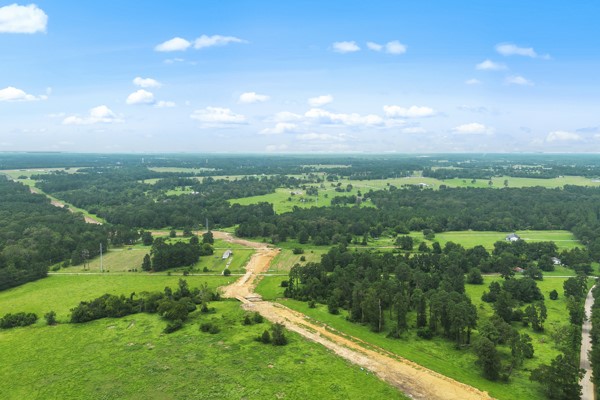 148 A Rogers Road New Waverly, TX 77358 - Photo 28 of 31 a view of a city