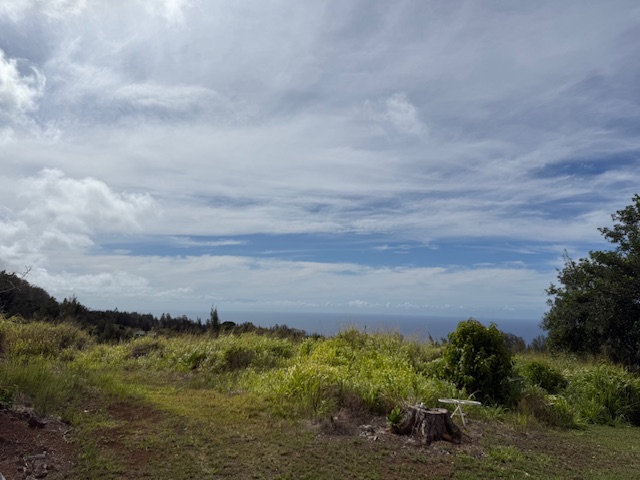 46-4180 Honokaa-Waipio Road Honokaa, HI 96727 - Photo 23 of 24