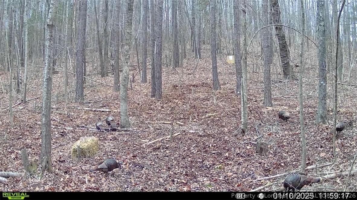 0 J J Dowdy Road Goldston, NC 27252 - Photo 11 of 22 a view of a pathway with a yard