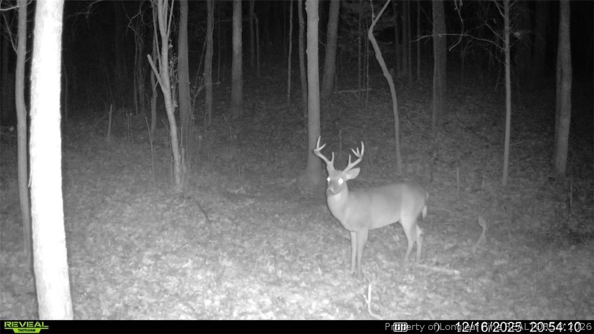 0 J J Dowdy Road Goldston, NC 27252 - Photo 14 of 22 a view of a room with wooden floor