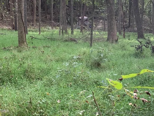 a big yard with lots of green space and deers