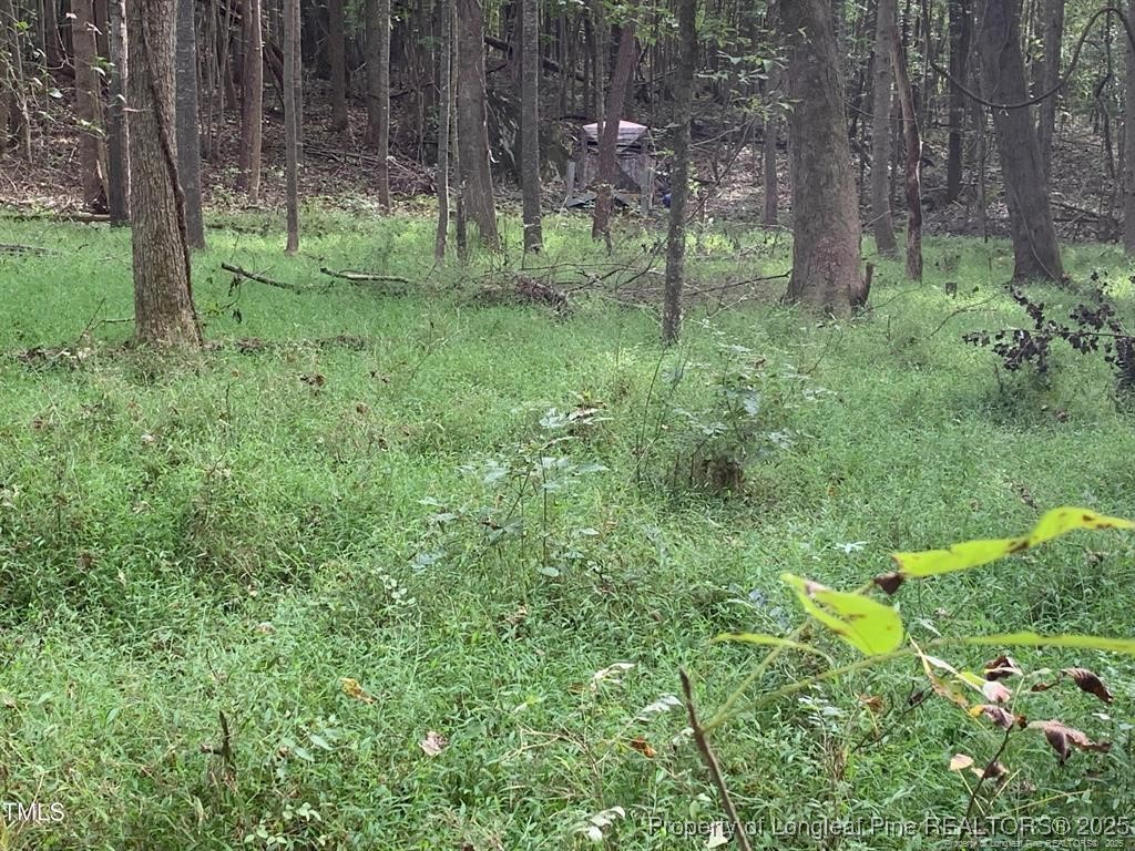0 J J Dowdy Road Goldston, NC 27252 - Photo 15 of 22 a big yard with lots of green space and deers