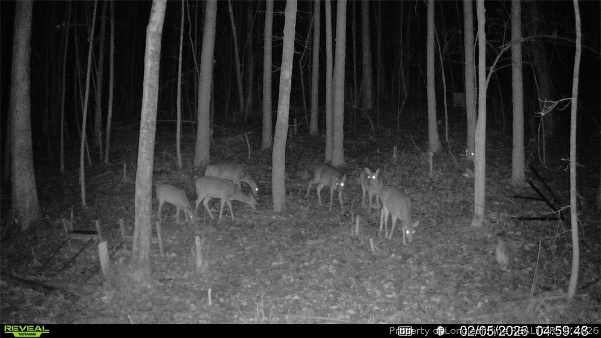 0 J J Dowdy Road Goldston, NC 27252 - Photo 20 of 22 a view of outdoor space