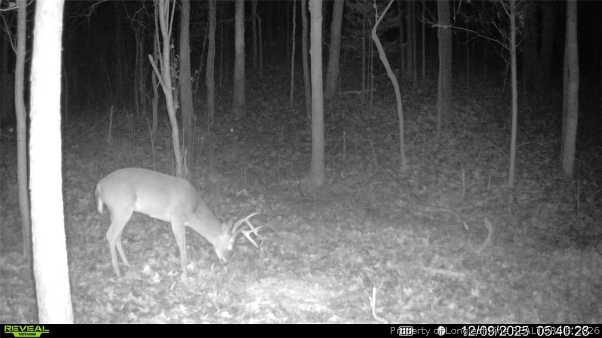 0 J J Dowdy Road Goldston, NC 27252 - Photo 21 of 22