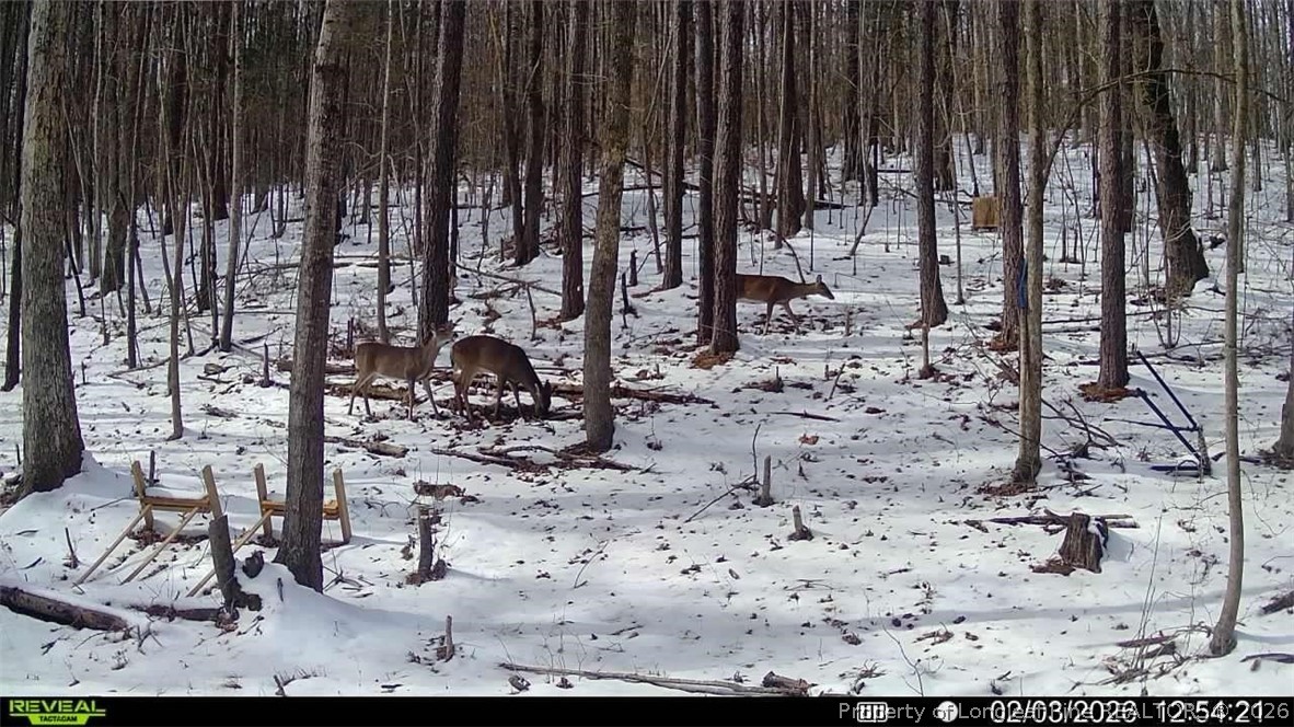 0 J J Dowdy Road Goldston, NC 27252 - Photo 22 of 22 a view of water heater