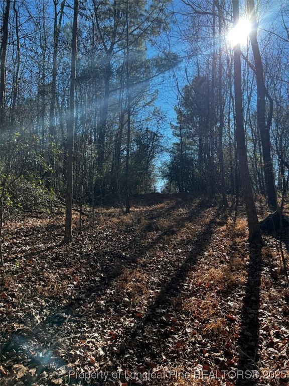 0 J J Dowdy Road Goldston, NC 27252 - Photo 4 of 22 a view of a forest with trees