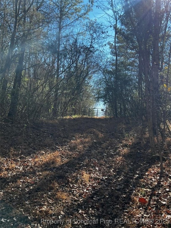 0 J J Dowdy Road Goldston, NC 27252 - Photo 5 of 22 a view of a yard