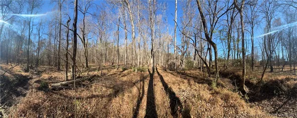 a view of backyard with wooden fence