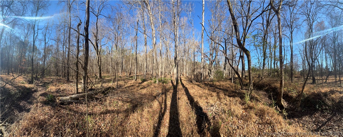 0 J J Dowdy Road Goldston, NC 27252 - Photo 6 of 22 a view of backyard with wooden fence