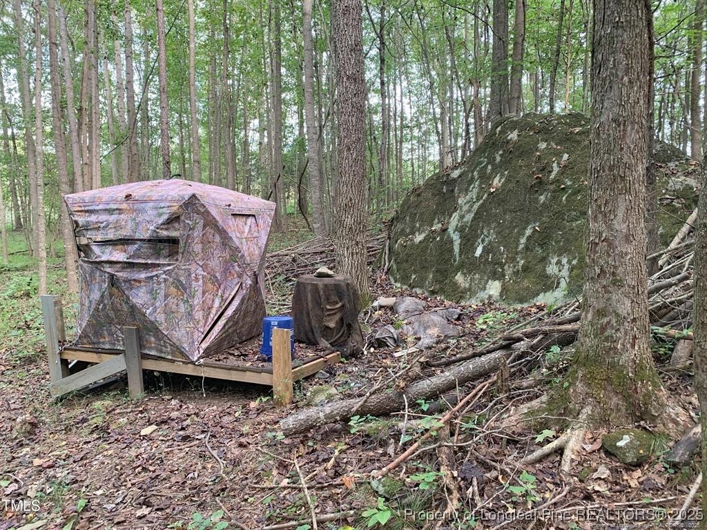 0 J J Dowdy Road Goldston, NC 27252 - Photo 7 of 22 a view of a backyard with chairs and a table