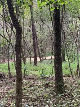 a view of outdoor space with trees