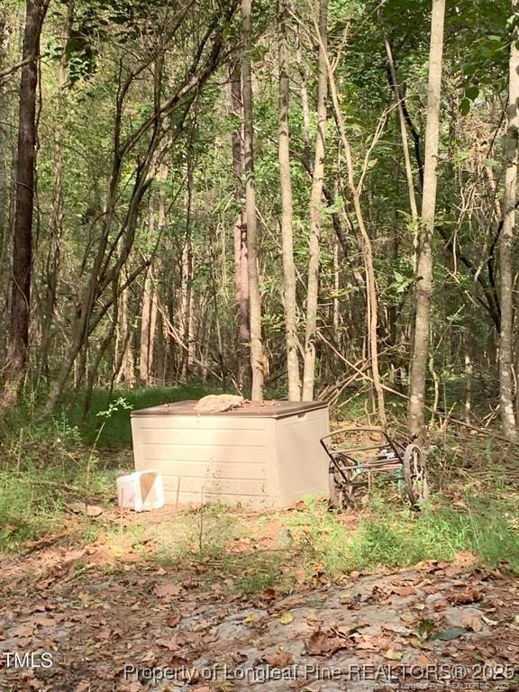 0 J J Dowdy Road Goldston, NC 27252 - Photo 9 of 22 a view of back yard of the building