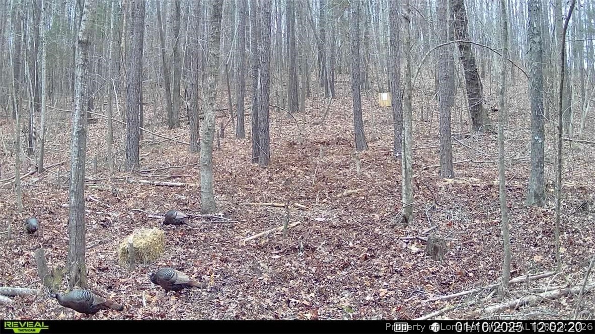 0 J J Dowdy Road Goldston, NC 27252 - Photo 10 of 22 a view of a pathway with a yard