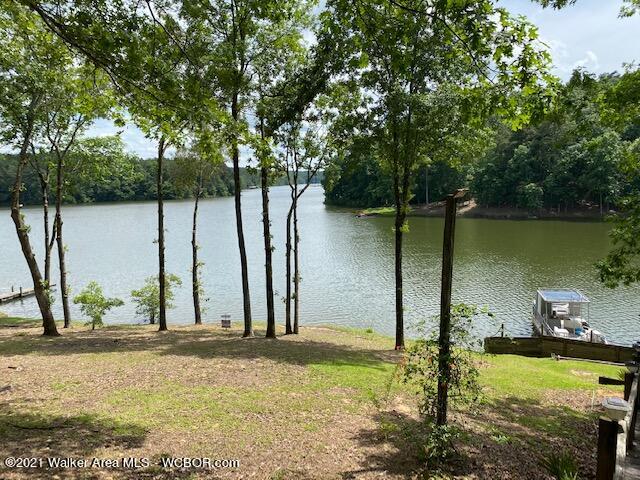351 Lakeview Road Phil Campbell, AL 35581 - Photo 5 of 33 Gallery Image 5