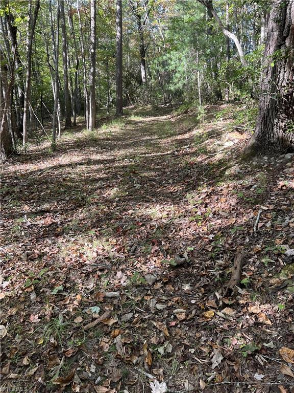 0 Royall Road Thurmond, NC 28683 - Photo 3 of 4