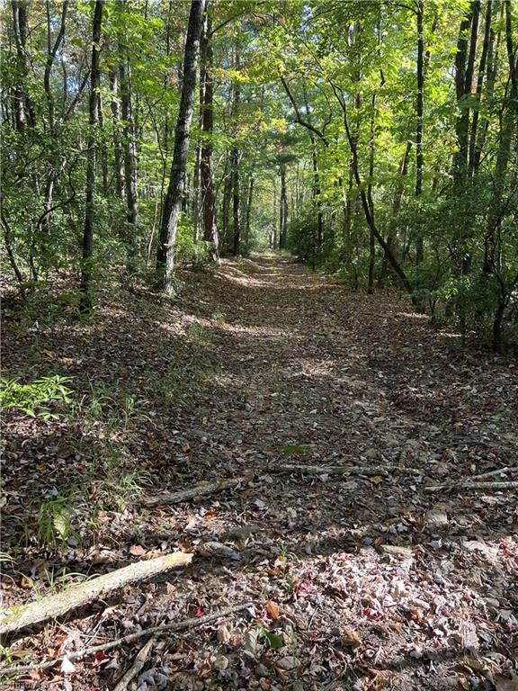 0 Royall Road Thurmond, NC 28683 - Photo 4 of 4