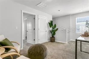 a living room with furniture and a potted plant