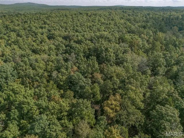 $45,000 | 8715 Highway 67, Fredericktown, MO 63645