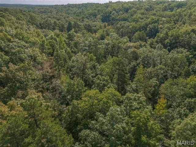 $45,000 | 8715 Highway 67, Fredericktown, MO 63645