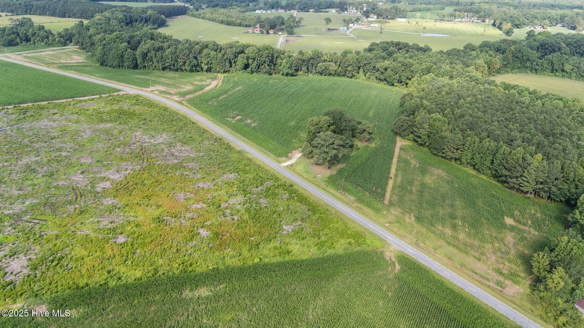 0 Hill Road Smithfield, NC 27577 - Photo 11 of 15 8-web-or-mls-DJI_20250721092229_0473_D