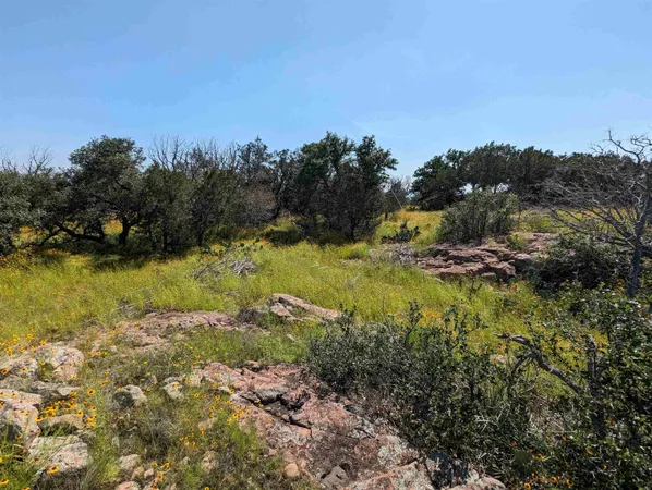 $165,000 | Xxxx Peninsula Drive, Burnet, TX 78611