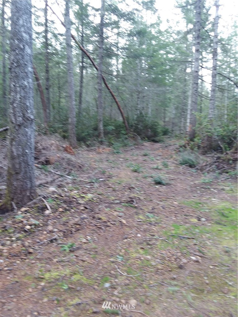150 Northeast Hurd Road Belfair, WA 98528 - Photo 5 of 6 Gallery Image 5