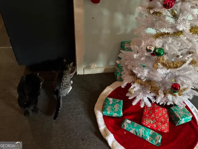 $65,000 | 115 Rhodes Road, Columbia, NC 27925