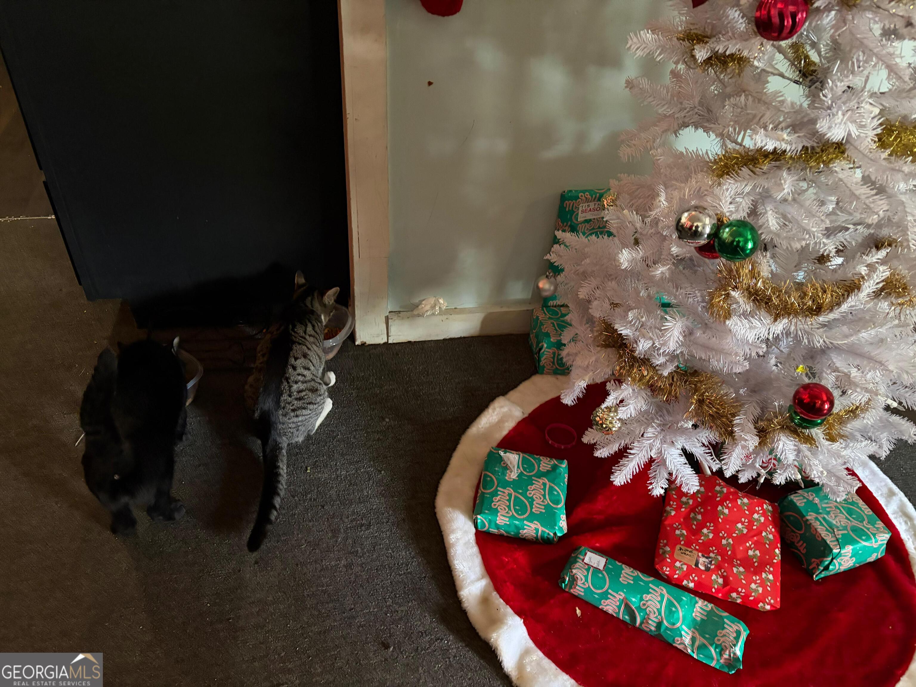 115 Rhodes Road Columbia, NC 27925 - Photo 7 of 20 an aerial view of a house