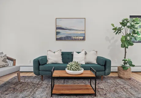 a living room with furniture a rug and a potted plant