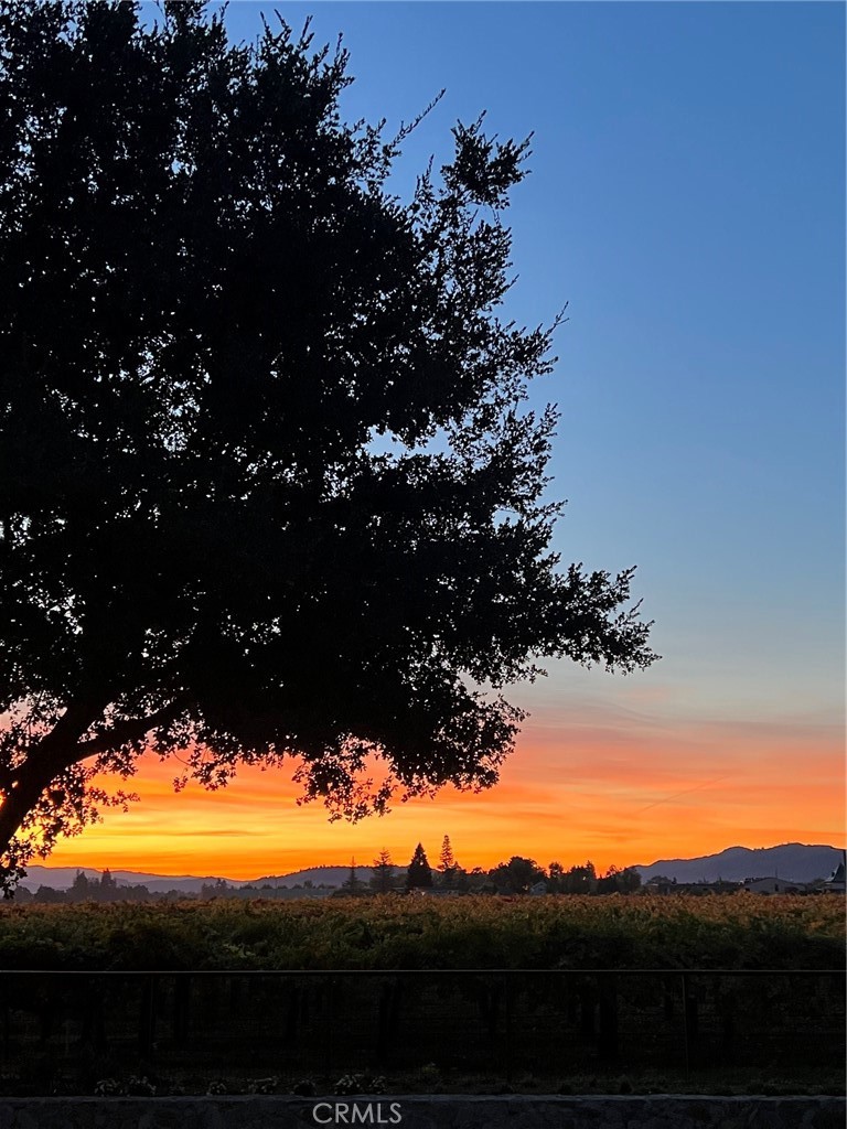 1125 Rutherford Road Napa, CA 94558 - Photo 43 of 44 Gallery Image 43