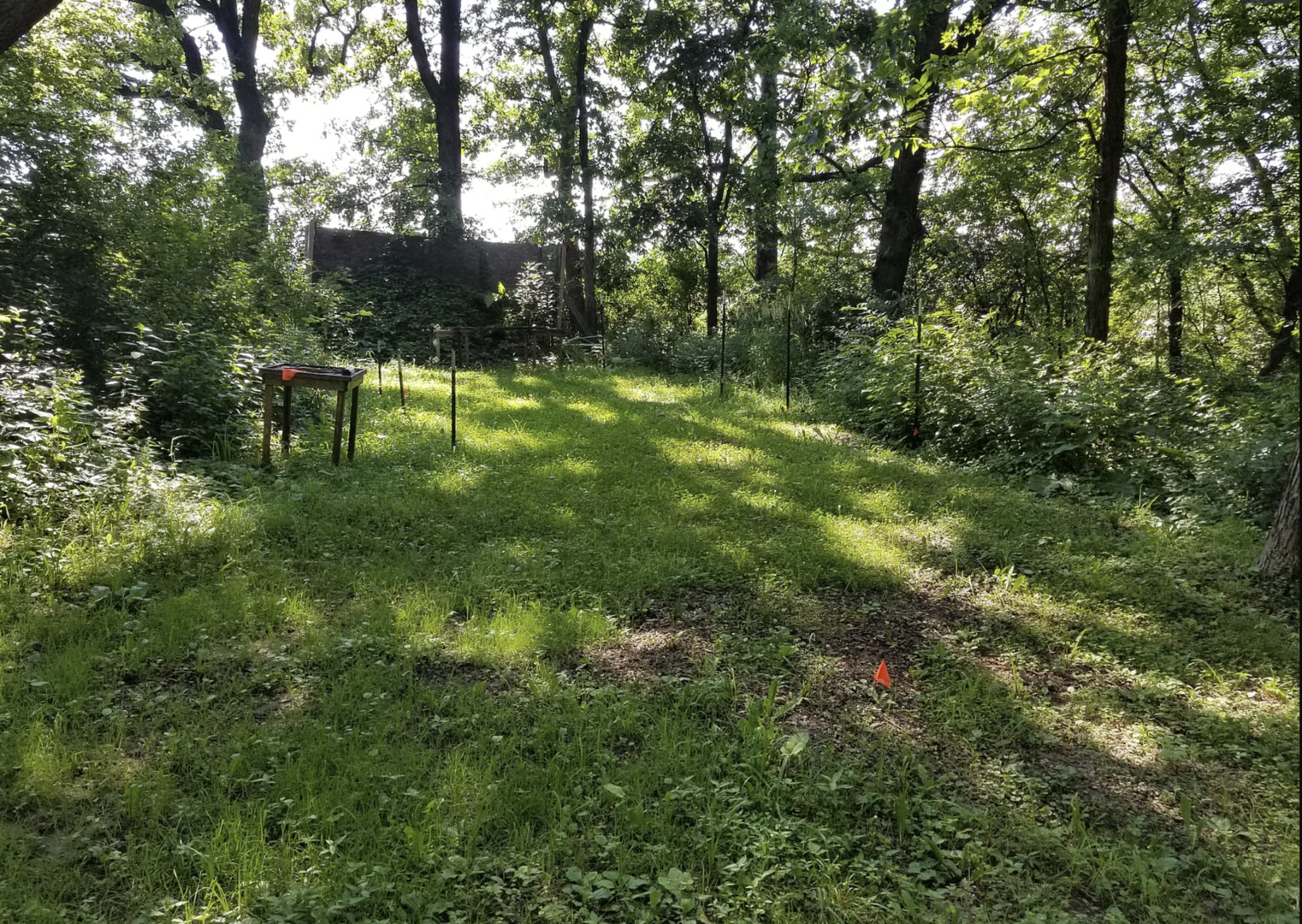 1276 North Tower Road Freeport, IL 61032 - Photo 7 of 10
