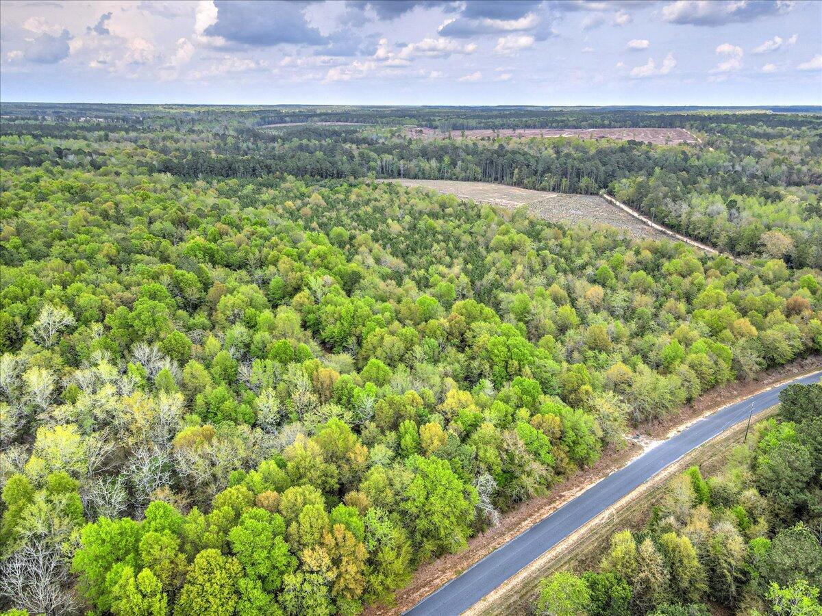 0 Millers Pond Road, Unit LOT 6 Salley, SC 29137 - Photo 8 of 12